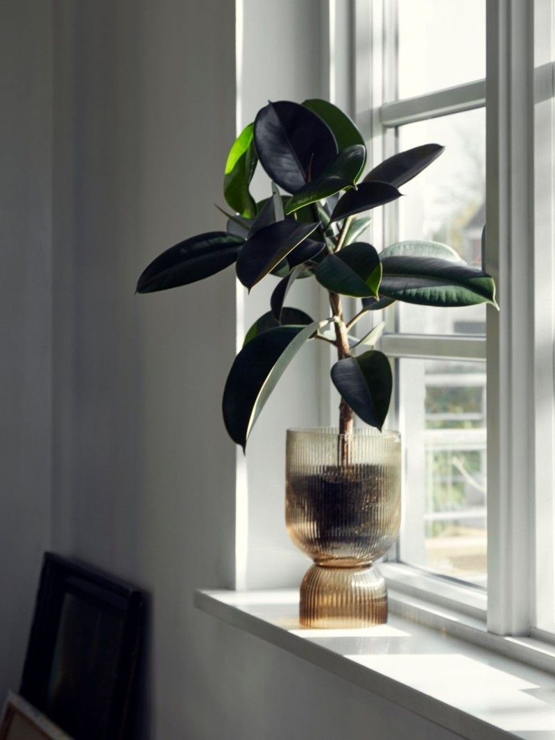 Nordal - Amber glass candlestick vase, Riva L