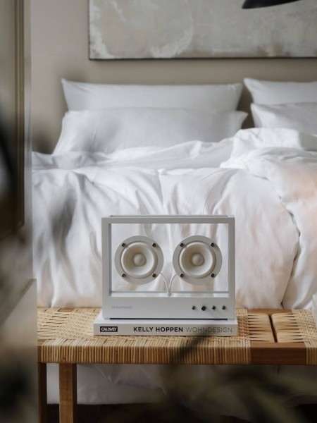 Enceinte Bluetooth Small Transparent Speaker, Transparent | MBS Design