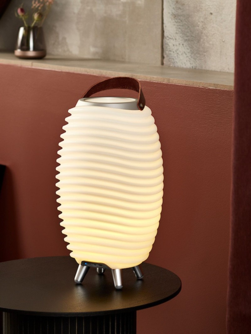 Kooduu Synergy 35 Bluetooth speaker and LED light