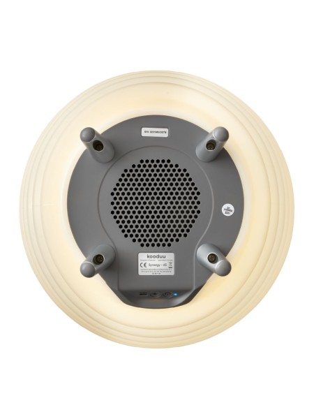 Synergy 65 Bluetooth speaker and LED light ⭐ -  Kooduu| MBS Design