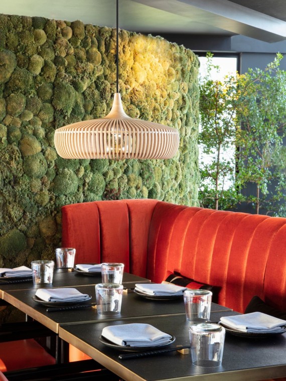 light oak Lampshade , Clava Dine Wood