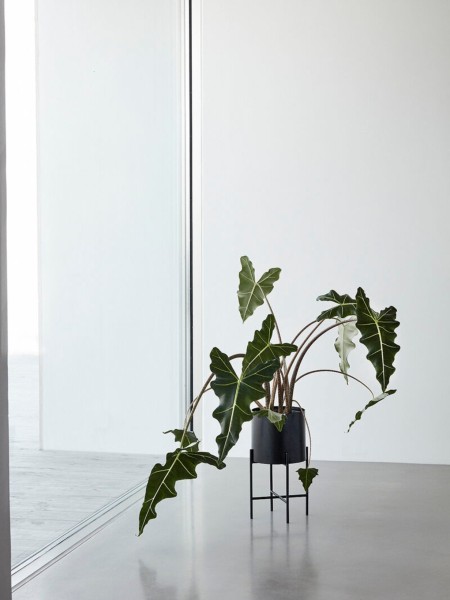 Hubsch Set of 2 black Otta planters