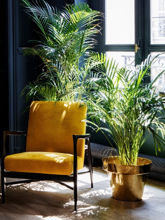 Red Edition, Fauteuil tissu, Floating